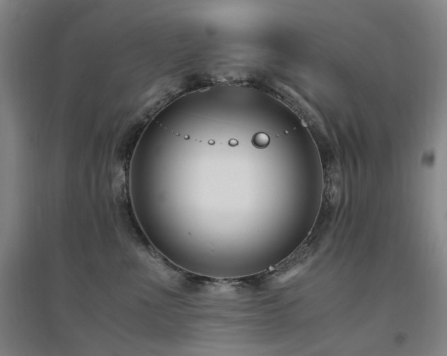 X0000094430523200711081228