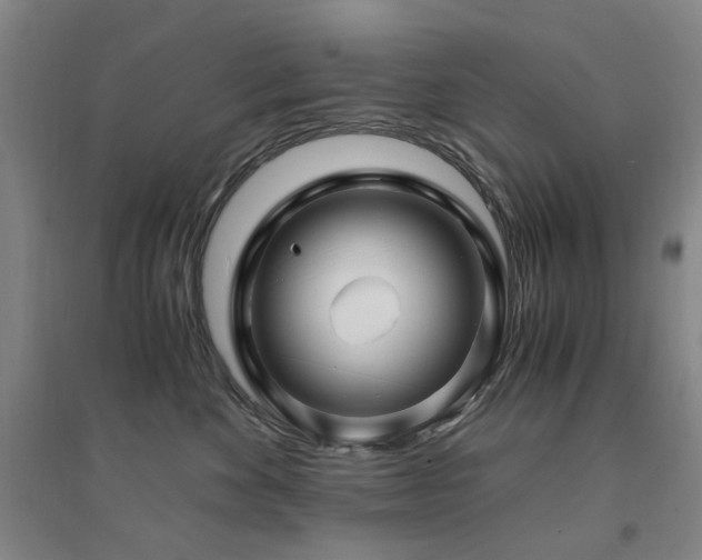 X0000094430524200711081228