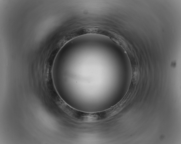 X0000094430525200711081228