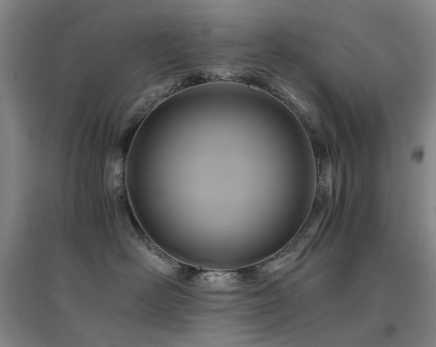 X0000094430526200711081228