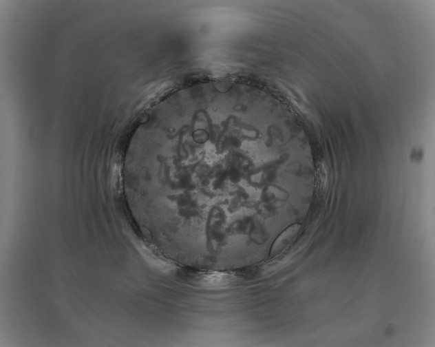 X0000094430527200711081228