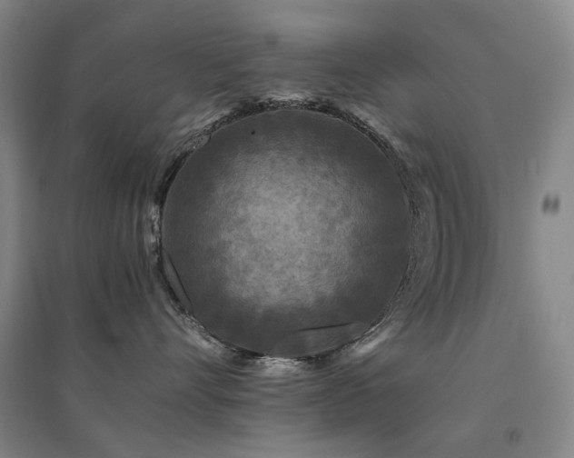 X0000094430528200711081228
