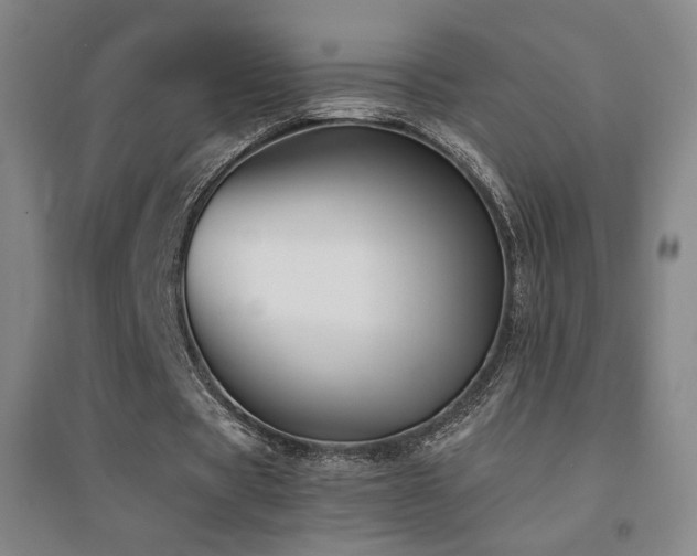 X0000094430529200711081228