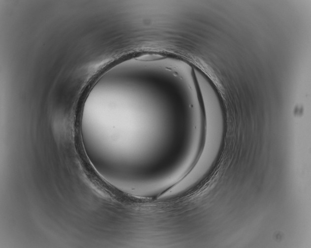 X0000094430530200711081228