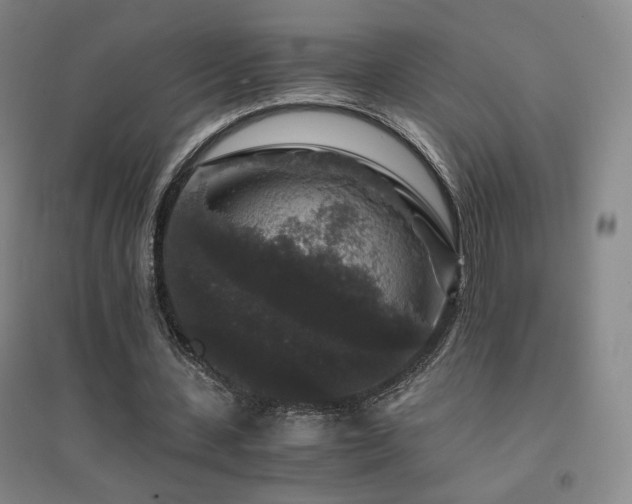 X0000094430531200711081228