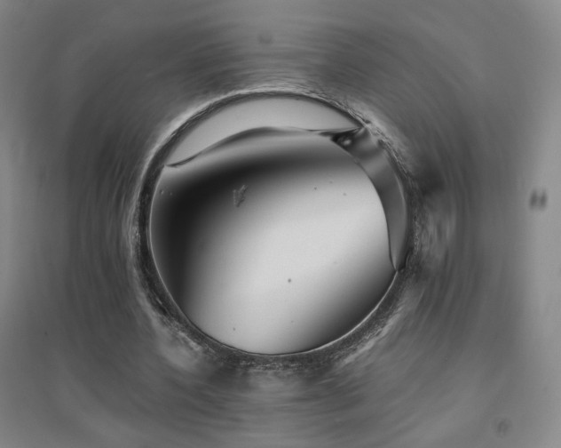 X0000094430532200711081228