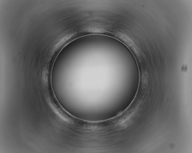 X0000094430533200711081228