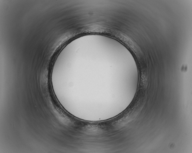 X0000094430534200711081228