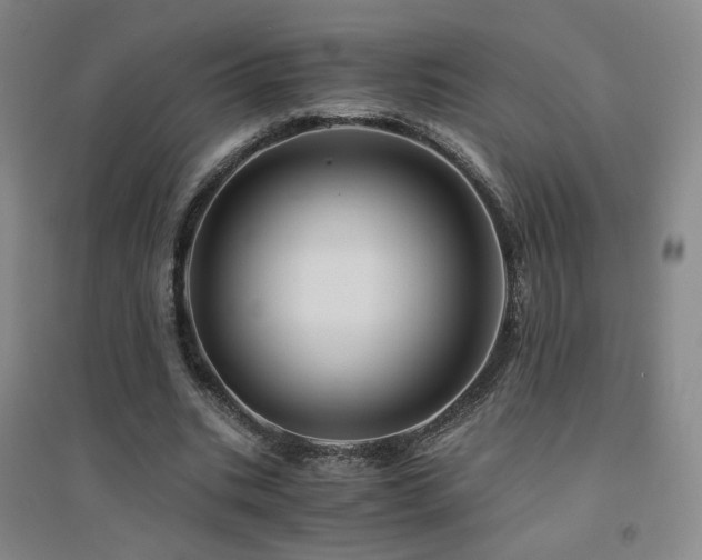 X0000094430535200711081228