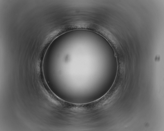 X0000094430537200711081228