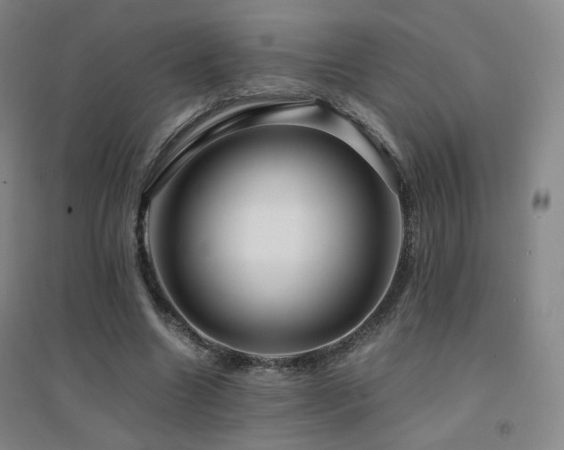 X0000094430538200711081228