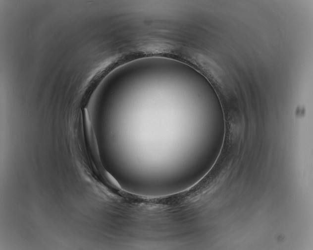 X0000094430539200711081228