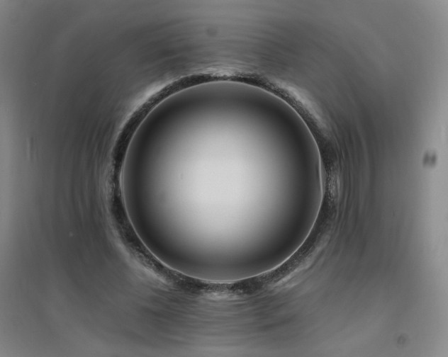 X0000094430540200711081228