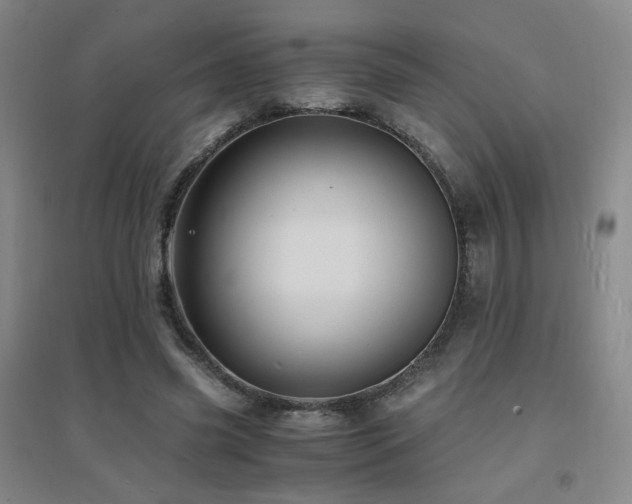 X0000094430541200711081228