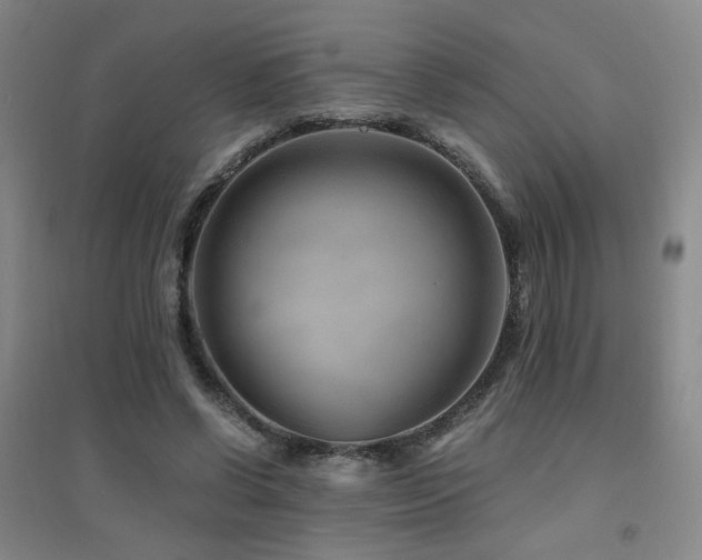 X0000094430542200711081228