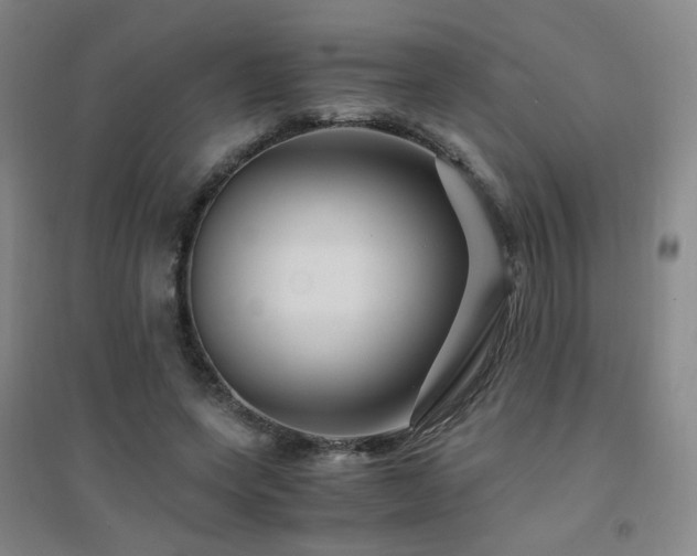 X0000094430543200711081228