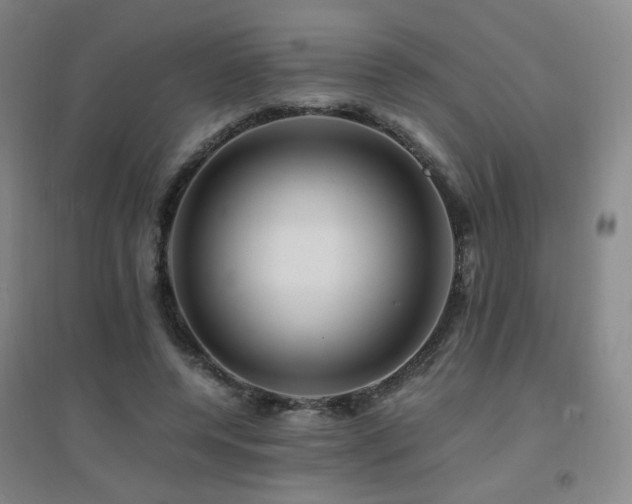 X0000094430544200711081228