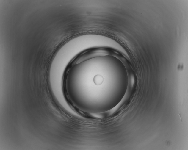 X0000094430546200711081228