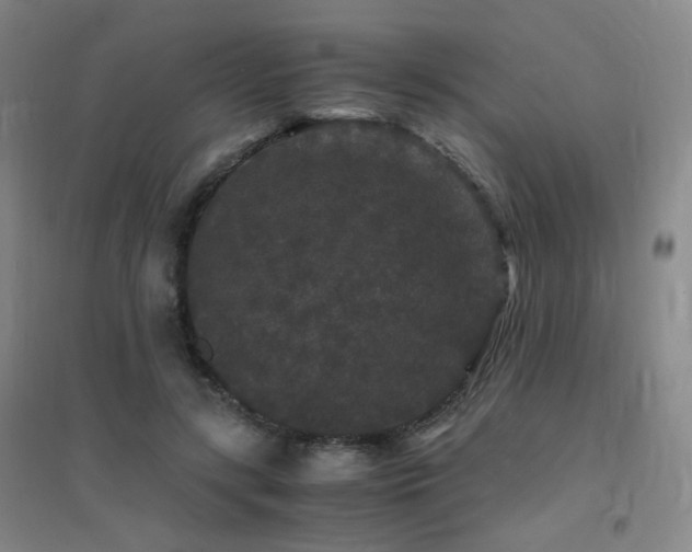 X0000094430547200711081228