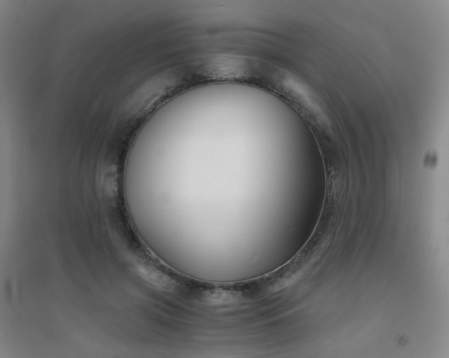 X0000094430549200711081228