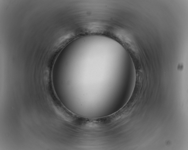 X0000094430550200711081228