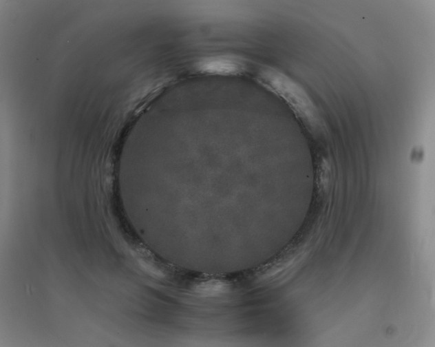 X0000094430551200711081228