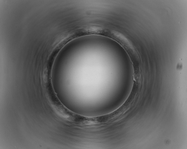 X0000094430552200711081228