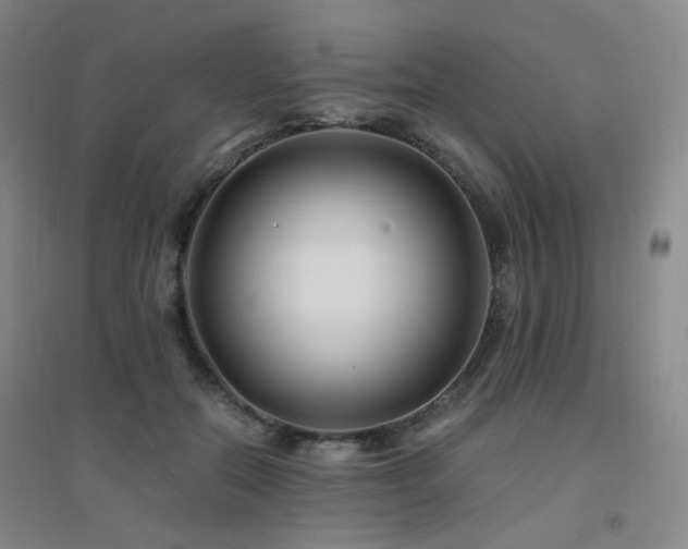 X0000094430554200711081228