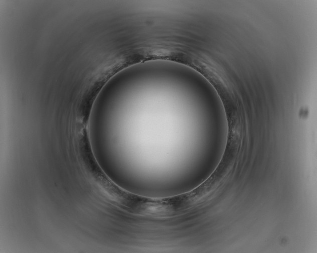 X0000094430555200711081228