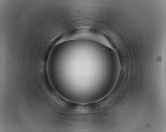 X0000094430556200711081228