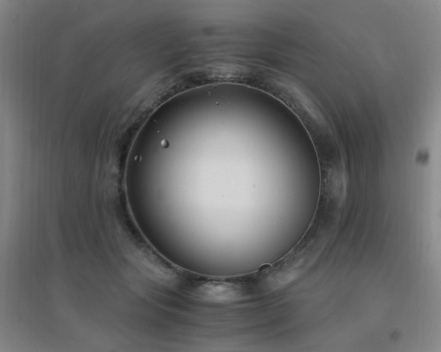 X0000094430557200711081228