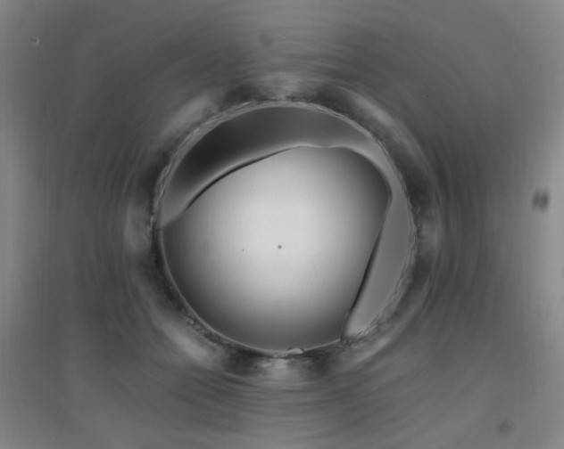 X0000094430558200711081228