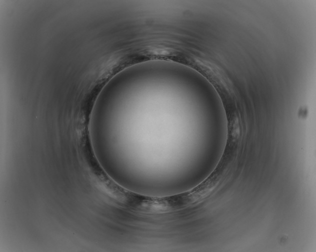 X0000094430559200711081228