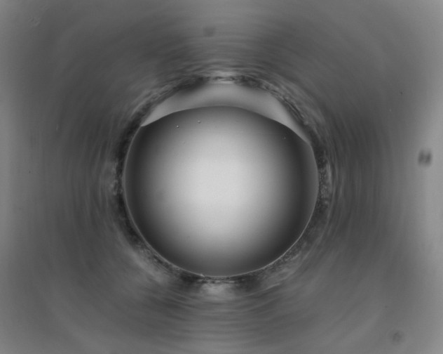 X0000094430560200711081228
