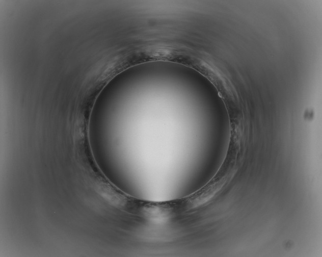 X0000094430561200711081228