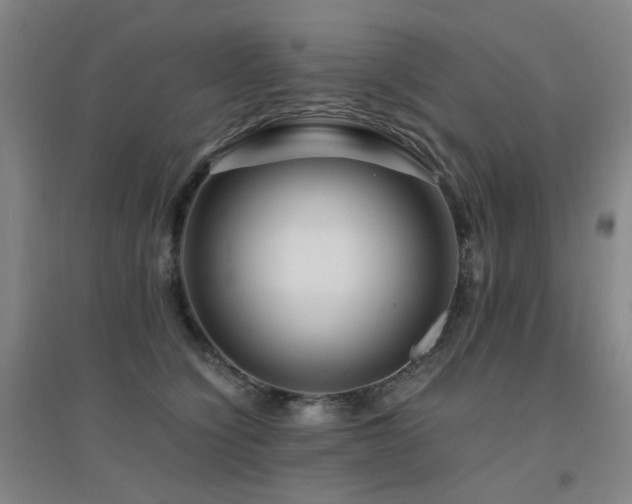 X0000094430564200711081228
