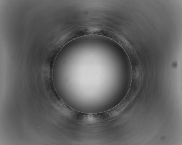 X0000094430565200711081228