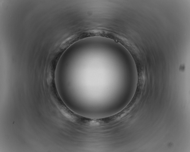 X0000094430566200711081228
