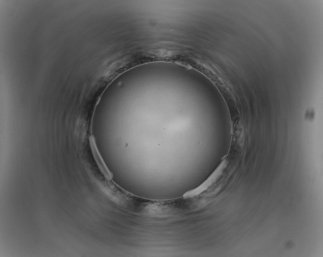 X0000094430568200711081228