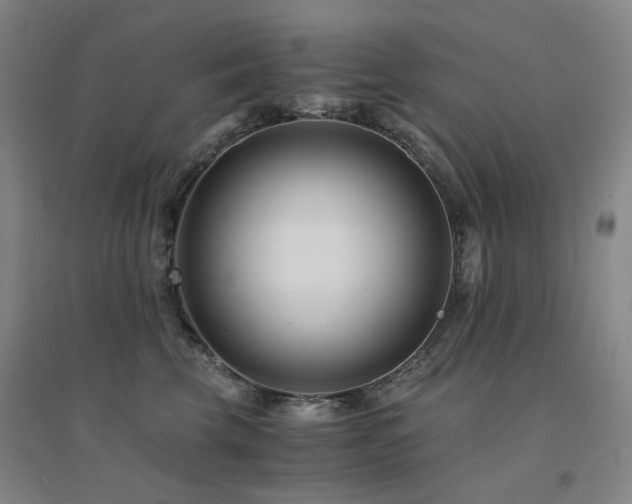 X0000094430569200711081228