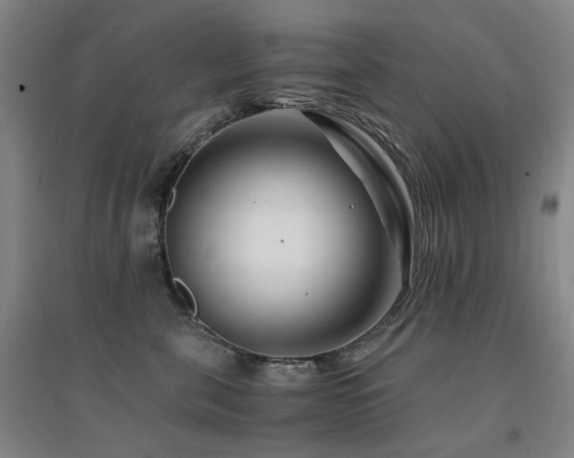 X0000094430571200711081228