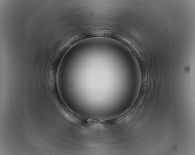 X0000094430572200711081228