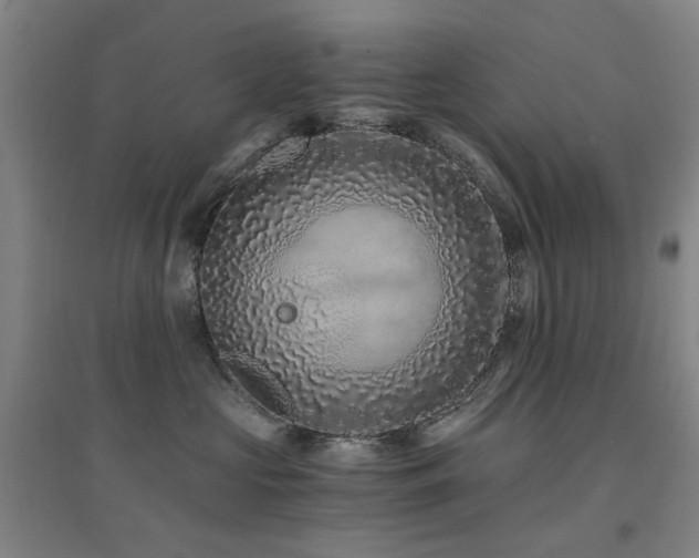 X0000094430573200711081228