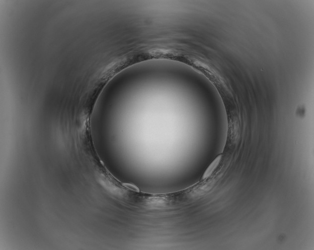 X0000094430574200711081228