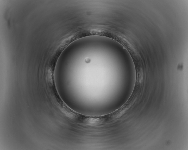 X0000094430575200711081228