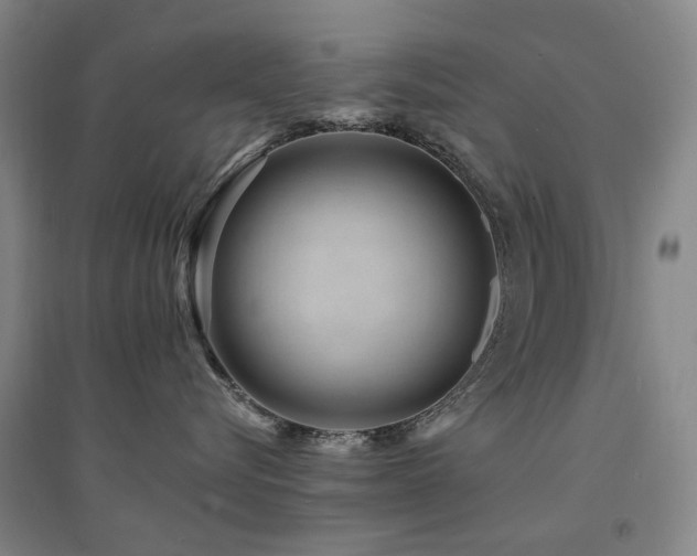X0000094430576200711081228