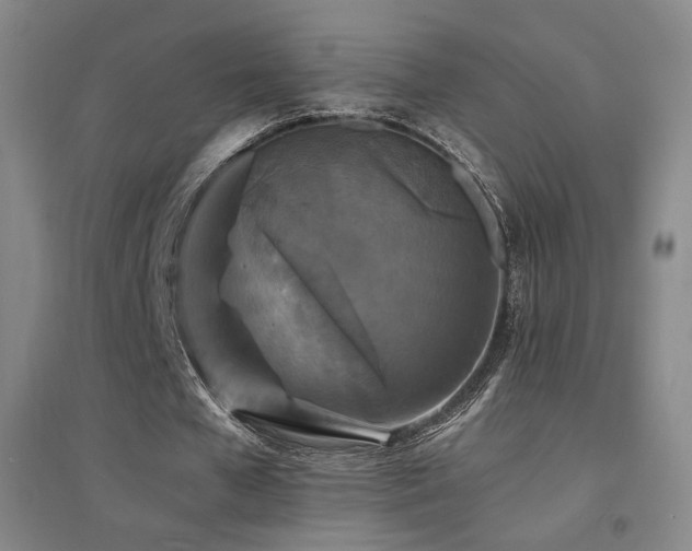 X0000094430577200711081228
