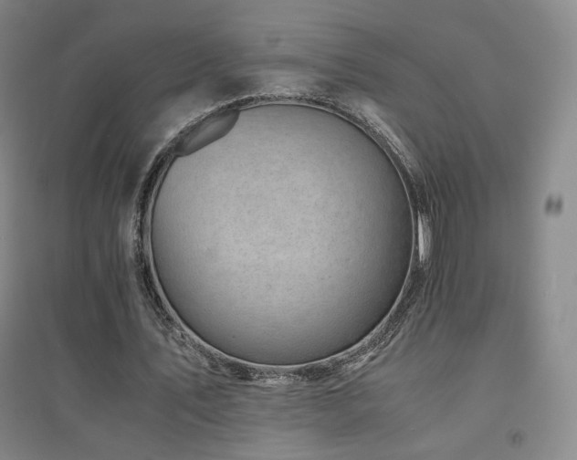 X0000094430579200711081228