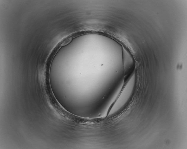 X0000094430580200711081228