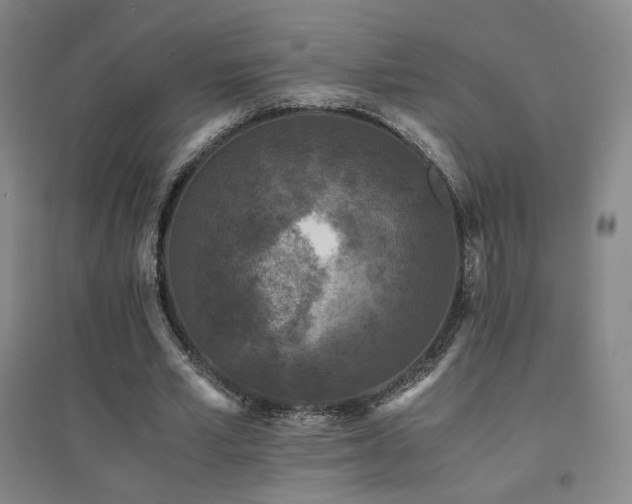X0000094430581200711081228